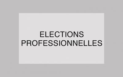 Recours au vote électronique