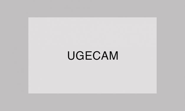 Déclaration FO – Conseils de surveillance des ARS et Conseils des UGECAM 2016