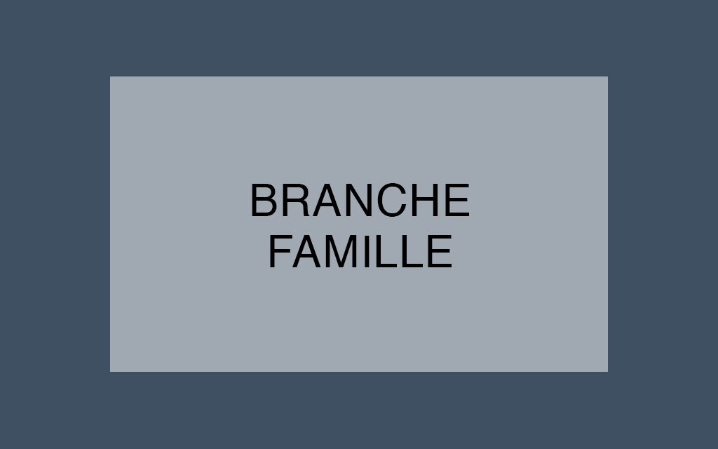 La Branche Famille dans la tourmente