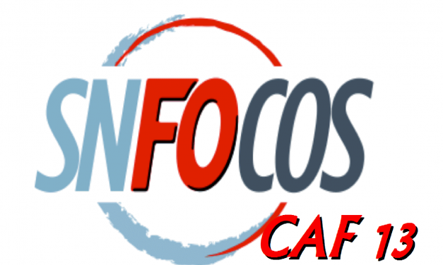 Visite du Directeur Général de la CNAF à la CAF 13 le 21 février 2018 – Déclaration du SNFOCOS CAF 13