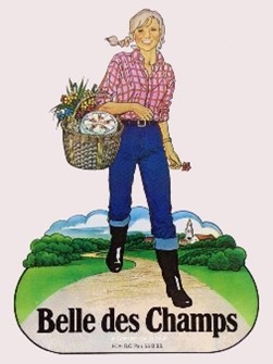 Classification – Publicité mensongère ?